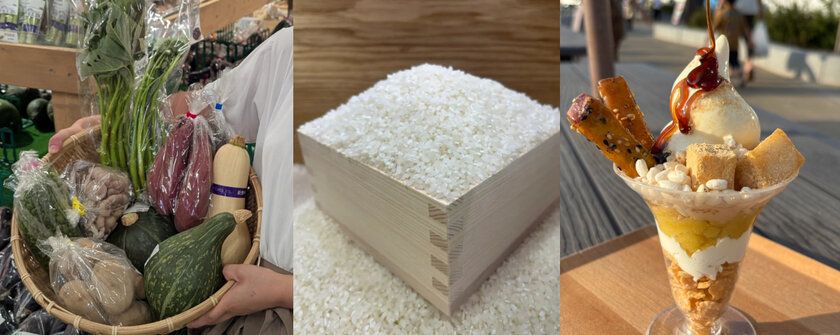 茨城県常総　新米・ぶどう・さつまいもなど 秋の味覚を楽しむイベント 9月13日(土)～9月23日(火)『常総　秋の収穫祭』開催