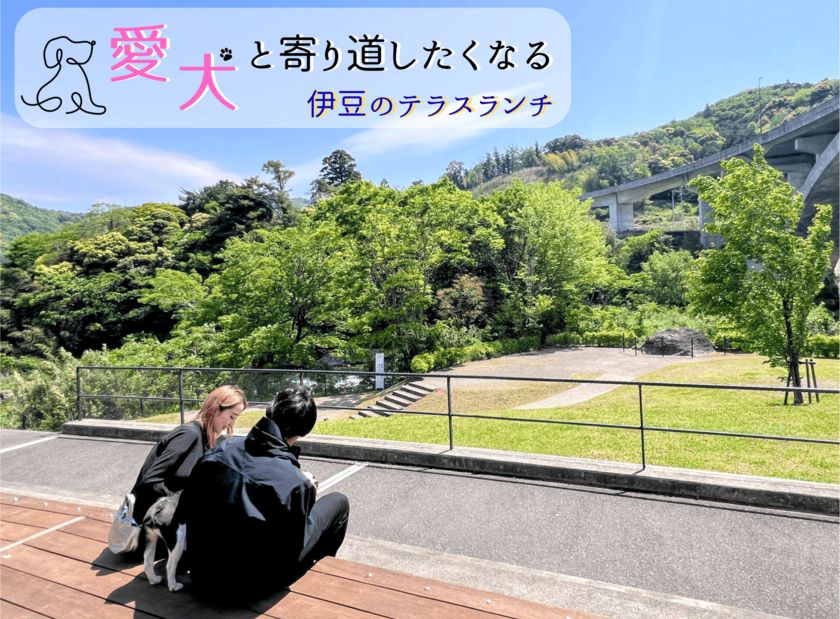 【ブロガー必見!】“癒やしのドッグテラス”誕生! 狩野川と天城連峰を望む開放的なカフェスペース “ペット同伴”ランチスポットが話題 道の駅 伊豆月ケ瀬