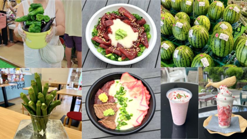 道の駅ローズマリー公園 はなまる市場 「夏だ！海だ！はなまる夏まつり2025」開催！ 2025年8月9日(土)～17日(日)