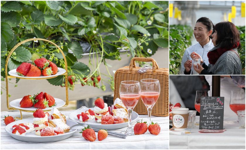 ＜いちご専門店の道の駅 いちごBonBonBERRY＞ 大好評の直営農園でのいちご狩りイベントを2026年も開催！