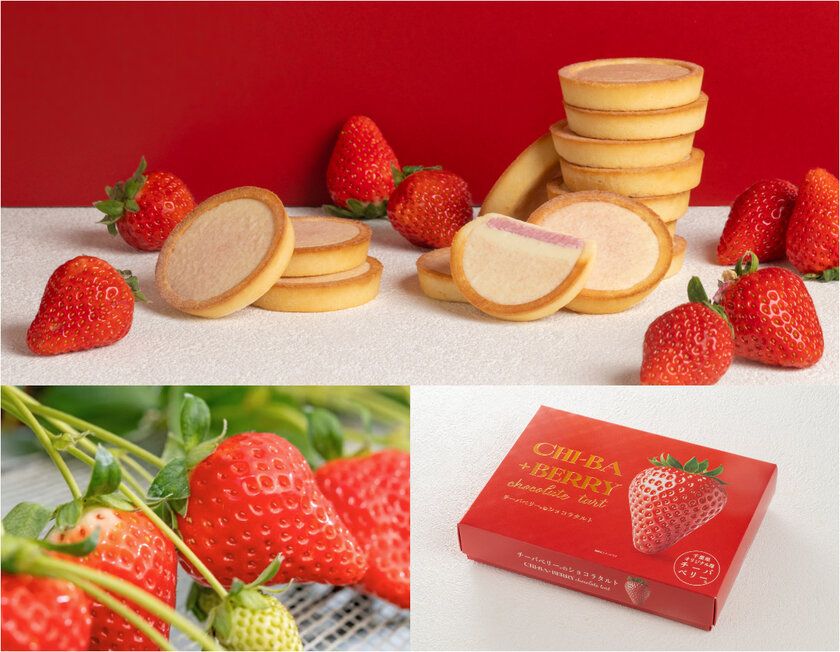 "10年かけて誕生したいちご「チーバベリー」をつかった 甘酸っぱい苺が紡ぐ千葉の新商品！ ― 「チーバベリーショコラタルト」2026年3月6日新発売 ― "