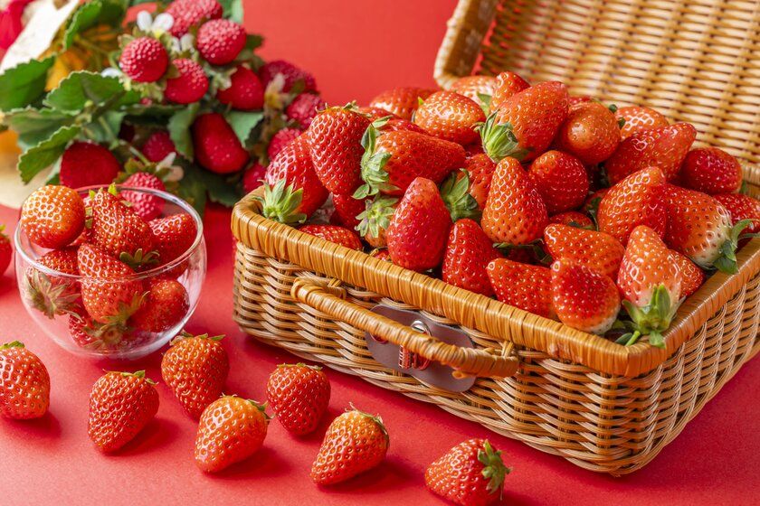 ＜いちご専門店の道の駅 いちごBonBonBERRY＞ いちご狩り気分で気軽にお席で楽しめる！ 「静岡いちごの食べ放題」を3月1日(日)から1か月開催！